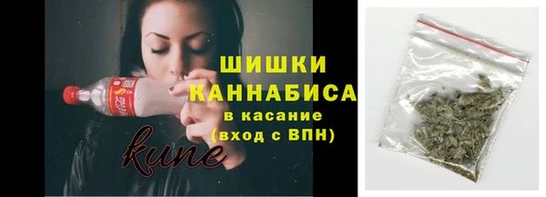шишки Сатка