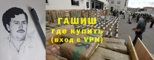 шишки Сатка