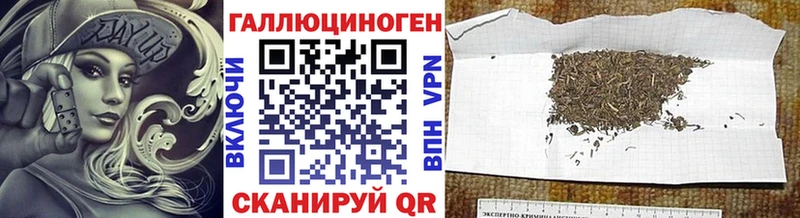 Галлюциногенные грибы Psilocybine cubensis Агрыз